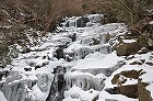 DSC_0006140.jpg