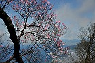 DSC_0060140.jpg