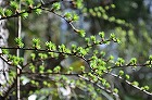 DSC_0119140.jpg