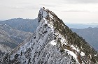 DSC_0207140.jpg