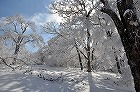 DSC_0225140.jpg