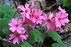 IMG_0016140.jpg