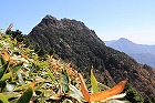 IMG_0066140.jpg