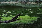 IMG_0115140.jpg