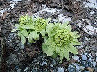 P4010177140.jpg
